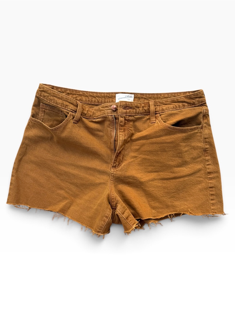 Universal Thread High-Rise Frayed Hem Jean Shorts in Rust